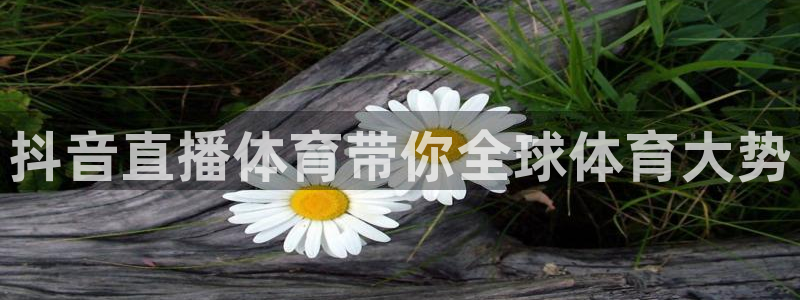 抖音直播体育带你全球体育大势