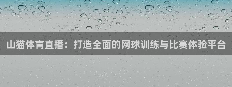 山猫体育直播：打造全面的网球训练与比赛体验平台