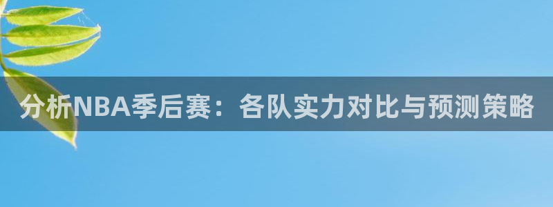 分析NBA季后赛：各队实力对比与预测策略